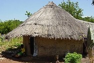 Bambara dictionary