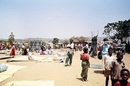 Chichewa translation