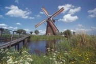 Dutch translation