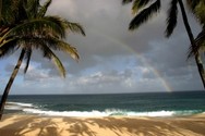 Hawaiian translation