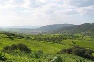 Kabyle translation