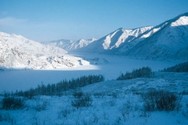 Kamas translation