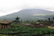 Kinyarwanda translation