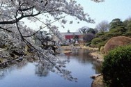 Korean dictionary