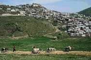Tabassaran translation
