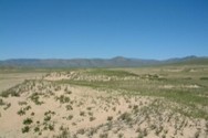 West Yugur translation