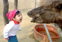 Hello in all languages